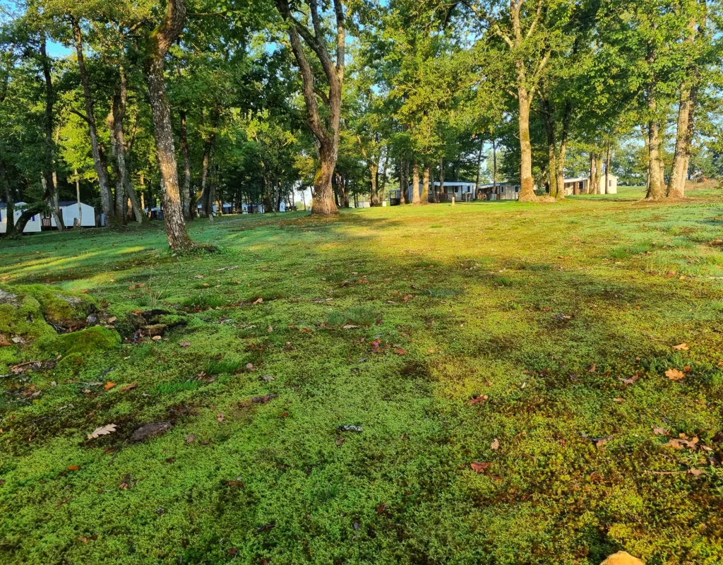Emplacement pour tente (4)