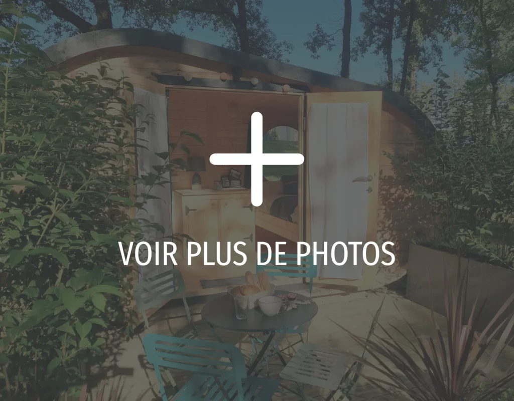 Voir plus de photos de chalets hobbit